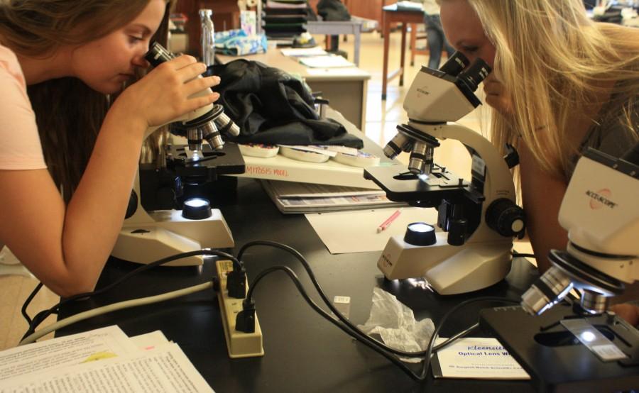 Anatomy students view human blood cells, malaria