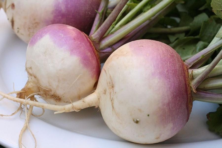 Students turnup for beets and turnips