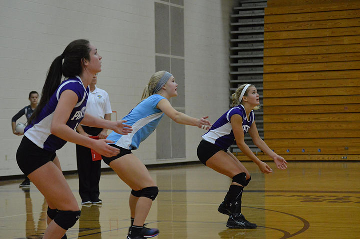 South volleyball players sign to play in college