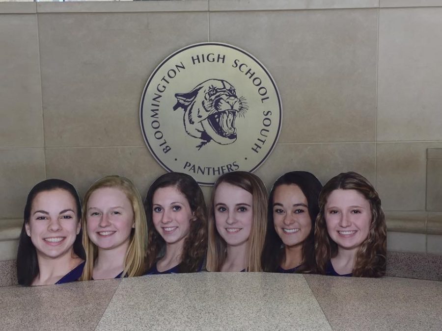 Gymnastics Team Goes to State