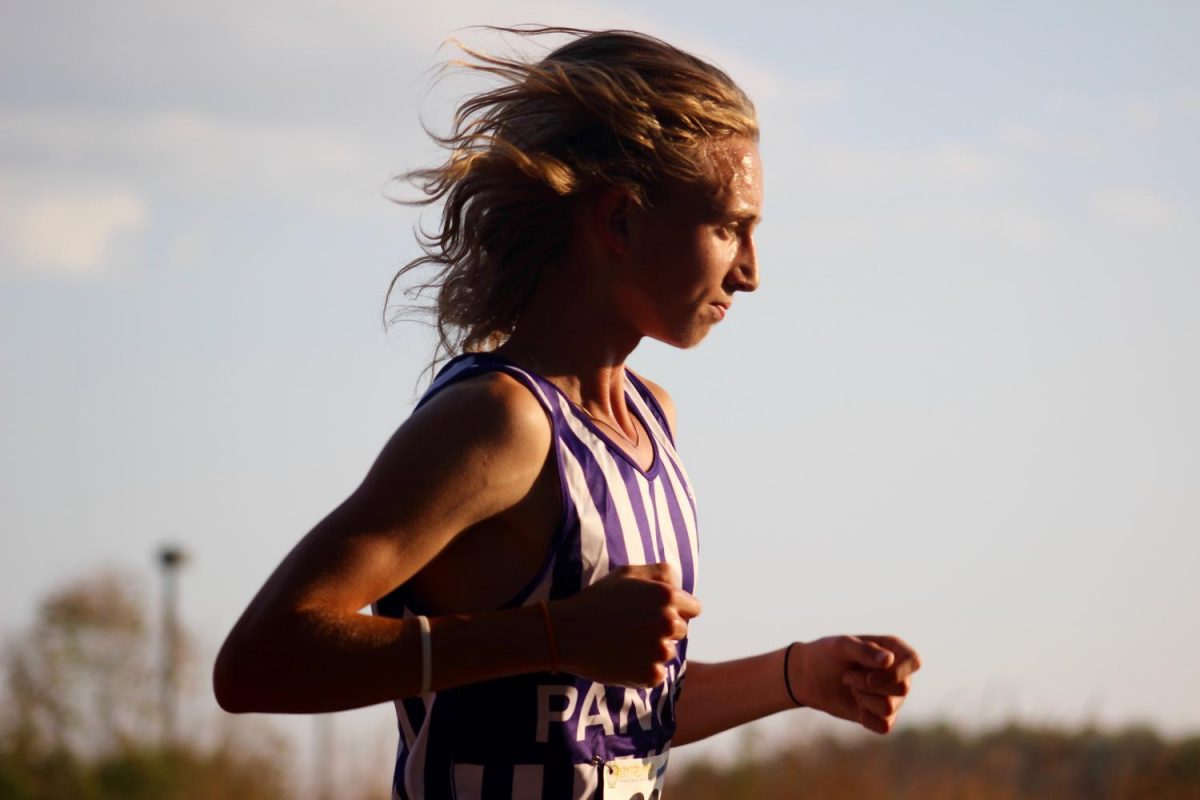 Boys XC earns their stripes at county meet (gallery)