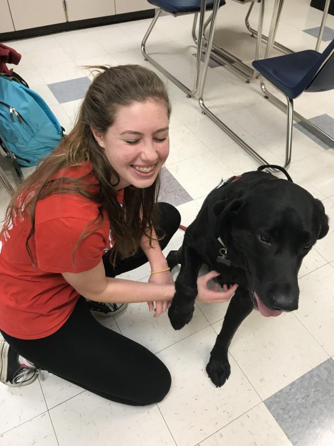 Service dog, Denali, visits South