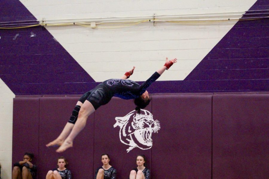 North's Zach Herzing during his floor routine.