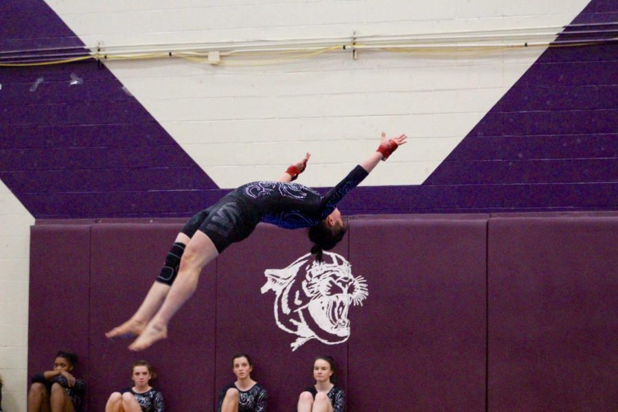 Norths Zach Herzing during his floor routine.