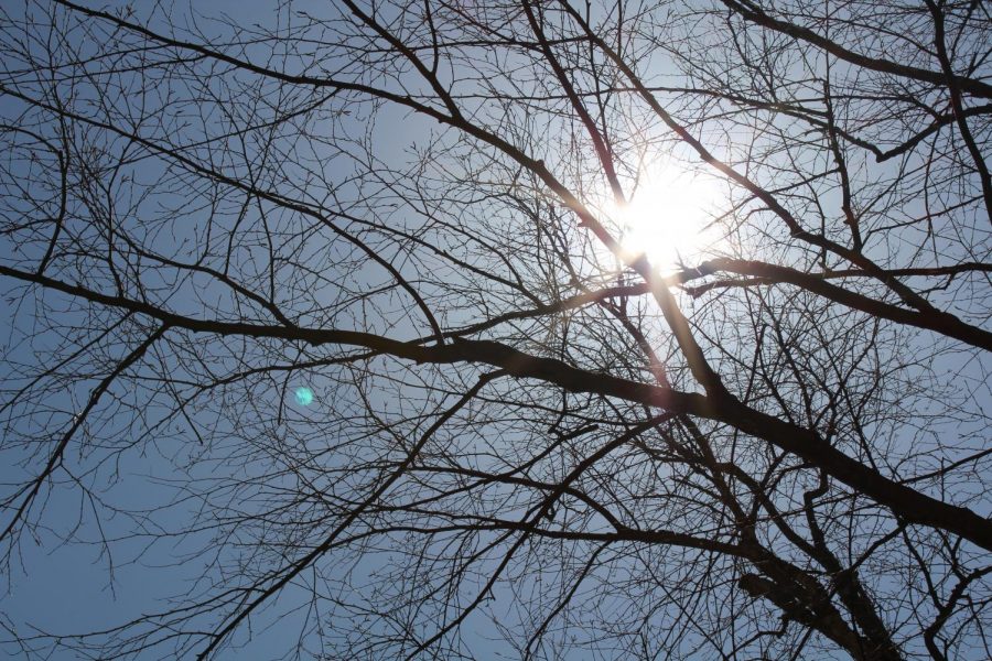 Sun's out! Click this photo for this weekend's forcast