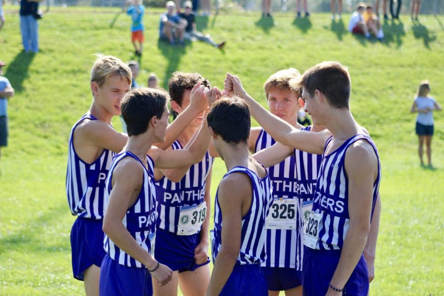 South boys, girls run to 2nd place finish at sectionals (gallery)