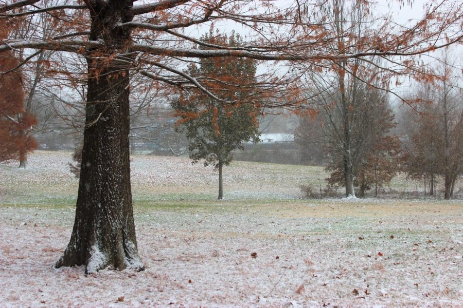 Three ways to approach an impending snow day