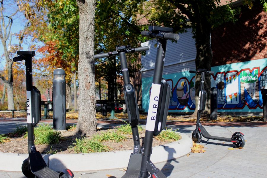 New motorized "Bird" scooters parked across the sidewalk on Kirkwood avenue.