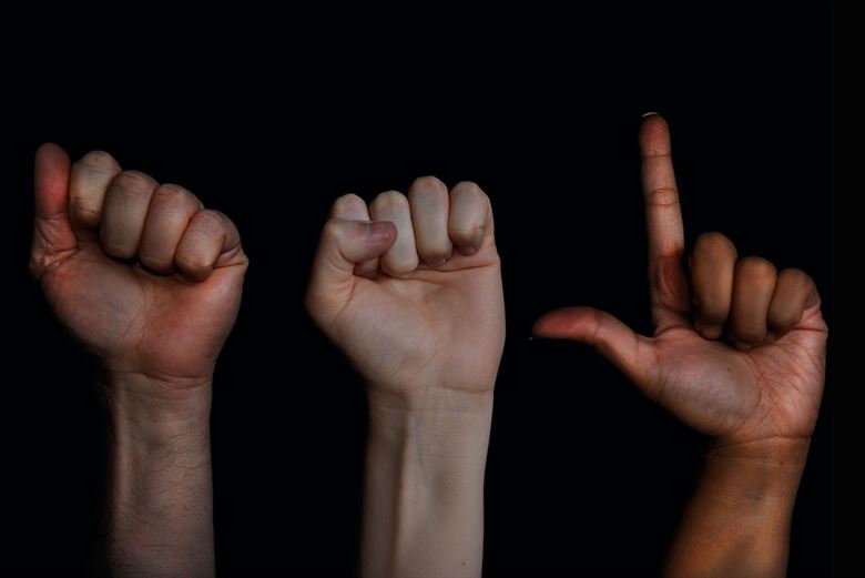 South to possibly introduce sign language to the foreign language curriculum