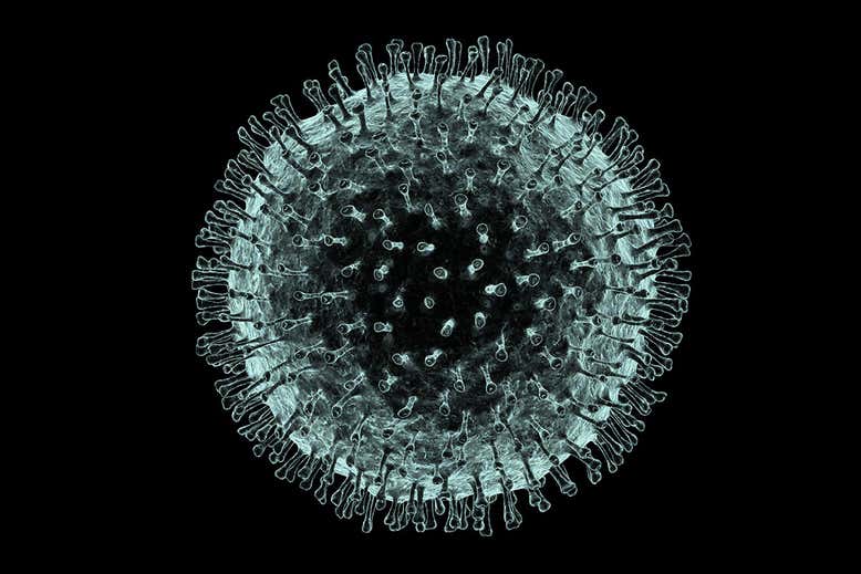 Coronavirus+and+South%3A+FAQ