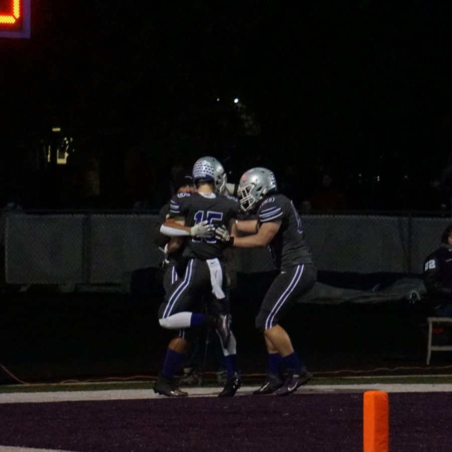 Panthers celebrating their touchdown.