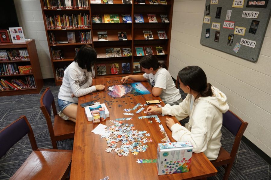 A puzzling time in the library