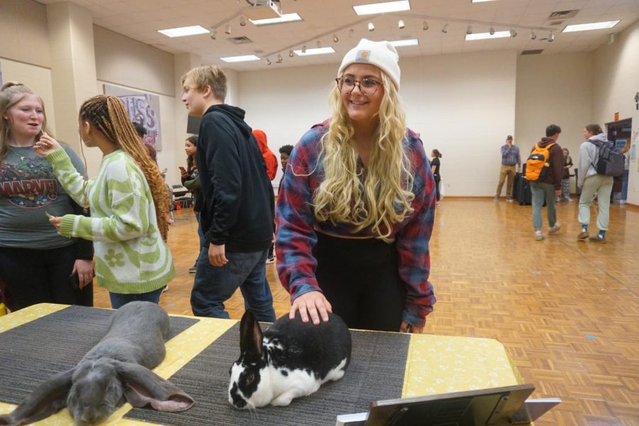 Freshman, Emma Bengtson, pets show rabbit at agricultural career fair