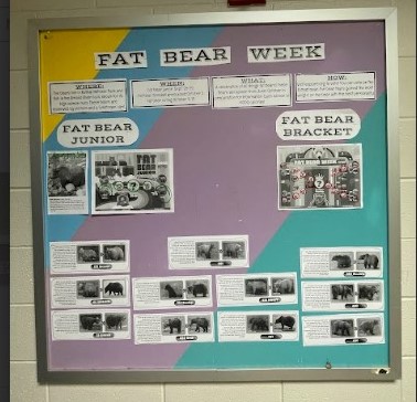 Mrs. Parker's fat bear bracket