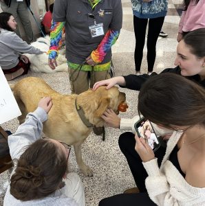 Zoe Gray, Vivian Gill, and Allie Dodds pet Love on a Leash’s dog, Maverick