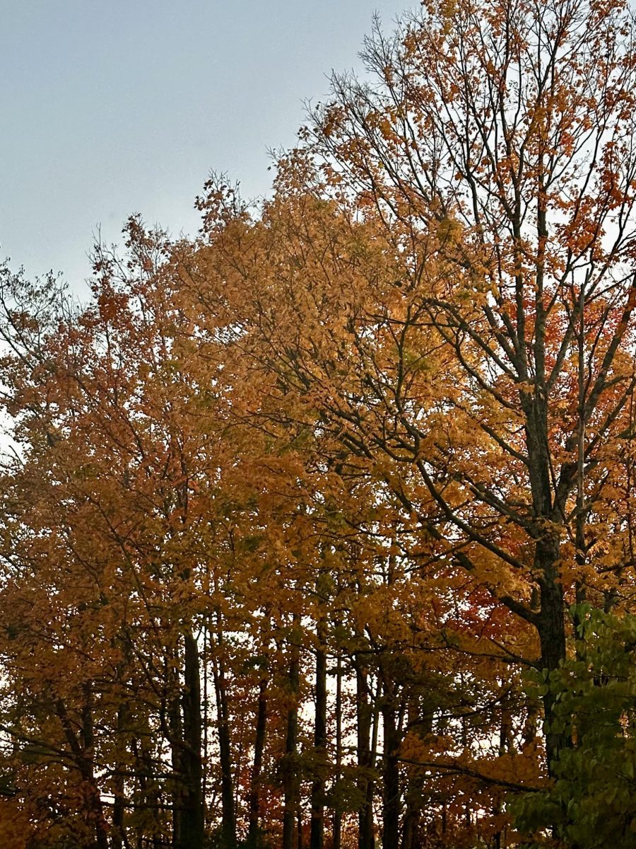 The leaves are turning- time for the Halloween festivities to begin.