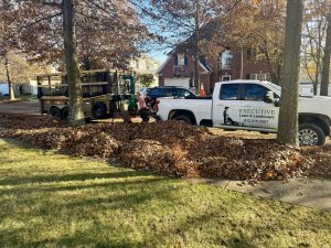 Executive Lawn & Landscape works on leaf removal.